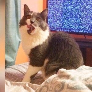 Meet your Posher, Mandy